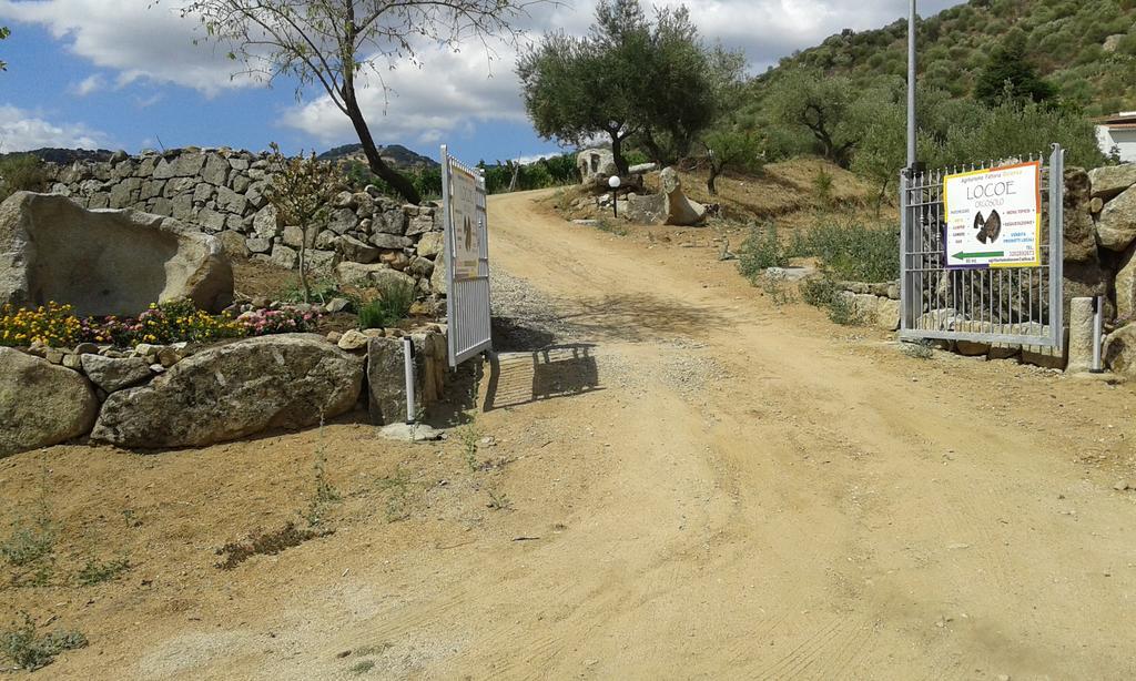 Agriturismo Locoe Oliena Εξωτερικό φωτογραφία