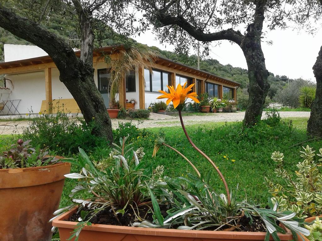 Agriturismo Locoe Oliena Εξωτερικό φωτογραφία