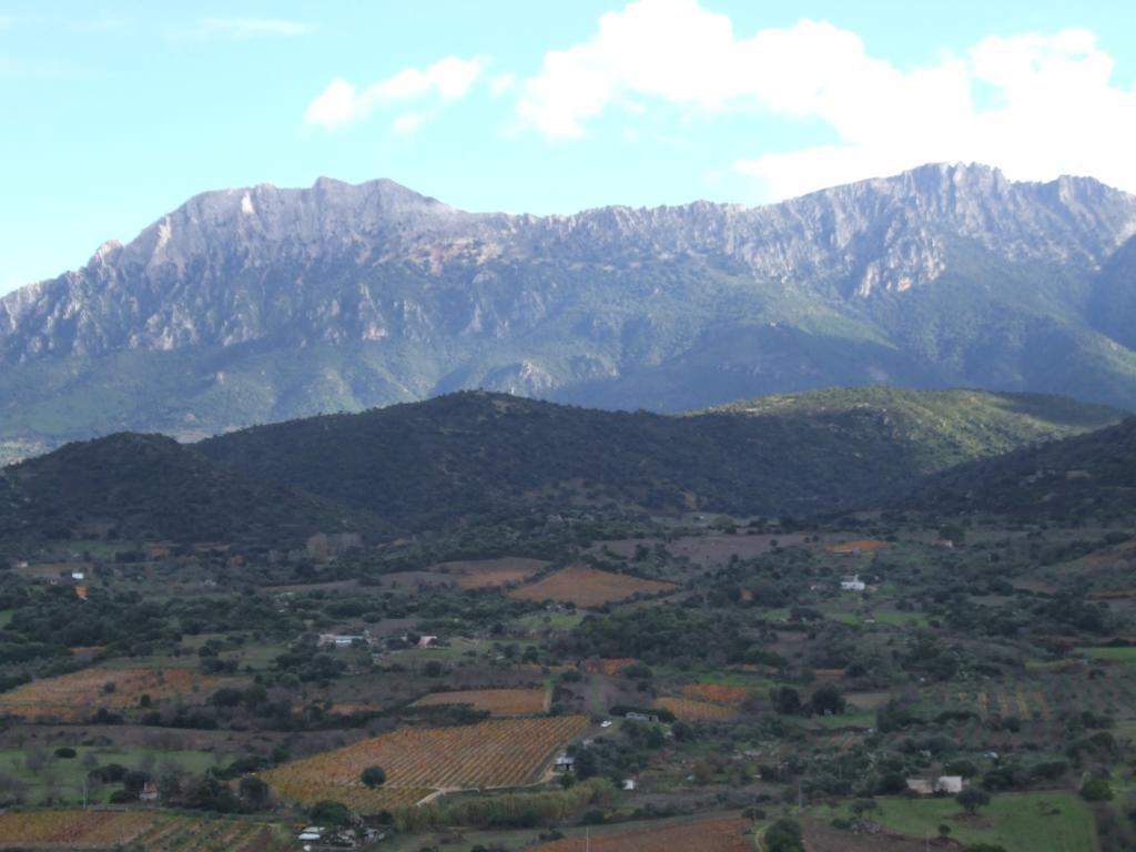Agriturismo Locoe Oliena Εξωτερικό φωτογραφία
