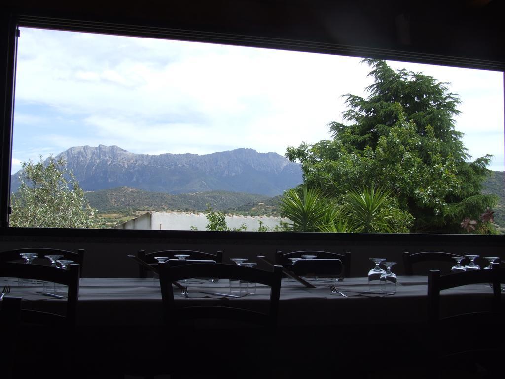 Agriturismo Locoe Oliena Εξωτερικό φωτογραφία