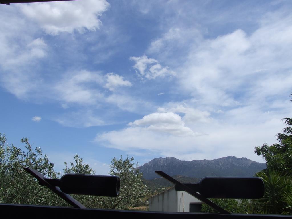 Agriturismo Locoe Oliena Εξωτερικό φωτογραφία